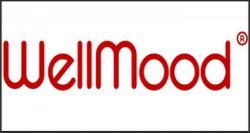 Интернет магазин женской обуви "WELLMOOD"